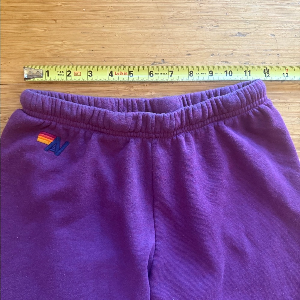 Aviator Nation Volt Sweatpants - Picture 13 of 15